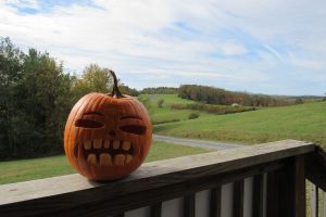 FGCC pumpkin at Blue Ridge Parkway motel