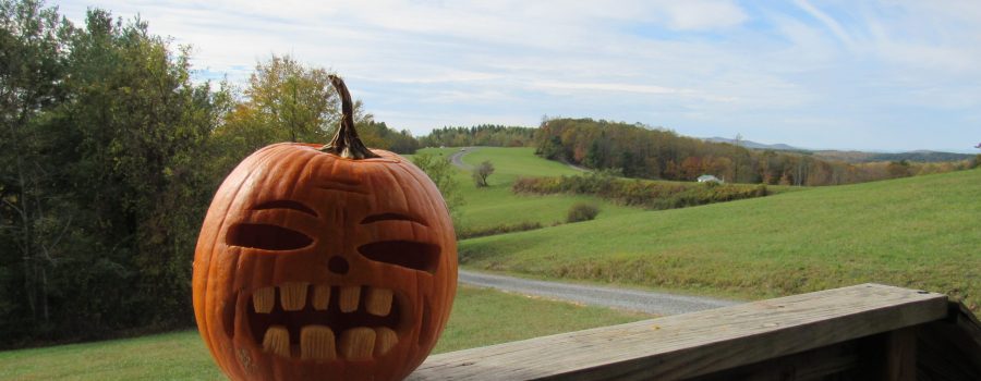 FGCC pumpkin at Blue Ridge Parkway motel