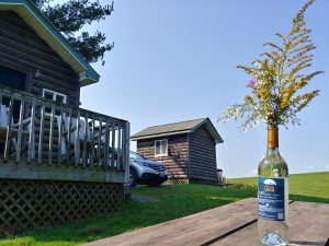 Blue Ridge Parkway Cabins | Fancy Gap Cabins and Campground