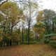 See the Fall Leaves along the Blue Ridge Parkway